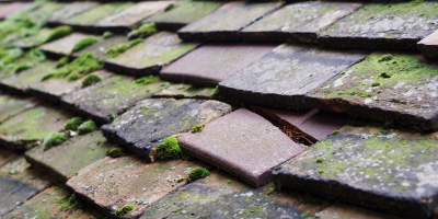 Shilton roof repair costs